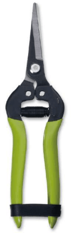 Screenshot 2024-12-16 120501