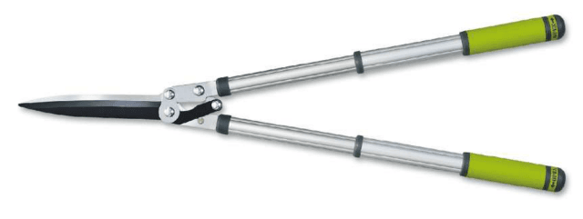 Screenshot 2024-12-16 130722