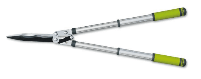 Screenshot 2024-12-16 130735