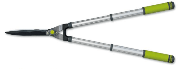 Screenshot 2024-12-16 130754