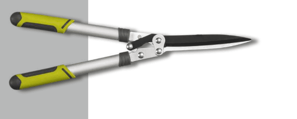 Screenshot 2024-12-16 131706