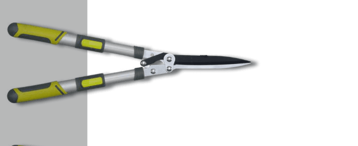 Screenshot 2024-12-16 131718