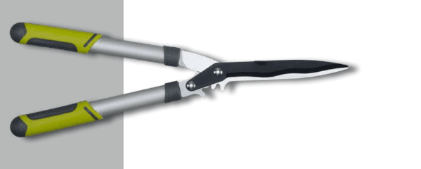 Screenshot 2024-12-16 131726