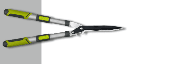 Screenshot 2024-12-16 131733