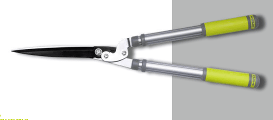 Screenshot 2024-12-16 134016