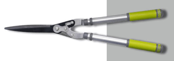 Screenshot 2024-12-16 134033