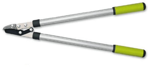 Screenshot 2024-12-16 140937