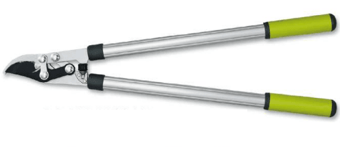 Screenshot 2024-12-16 140946