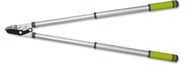 Screenshot 2024-12-16 143228