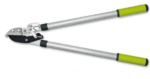 Screenshot 2024-12-16 143848