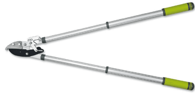 Screenshot 2024-12-16 145328