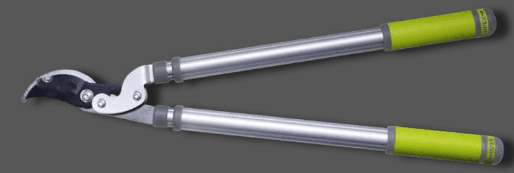 Screenshot 2024-12-16 150123