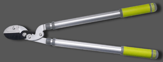 Screenshot 2024-12-16 150152