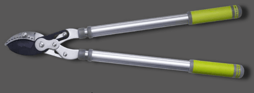 Screenshot 2024-12-16 150210