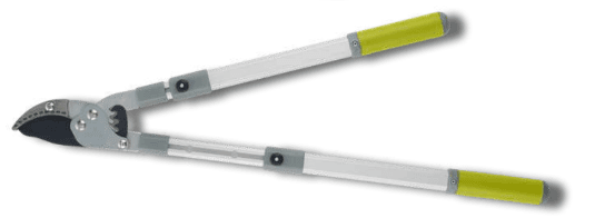 Screenshot 2024-12-16 151344