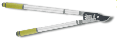 Screenshot 2024-12-16 151933