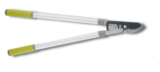 Screenshot 2024-12-16 151940