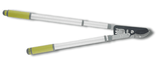 Screenshot 2024-12-16 151946