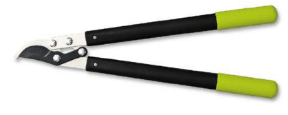 Screenshot 2024-12-16 154501