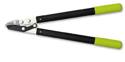 Screenshot 2024-12-16 154513