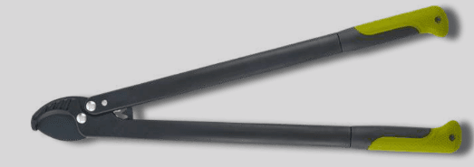 Screenshot 2024-12-16 160233