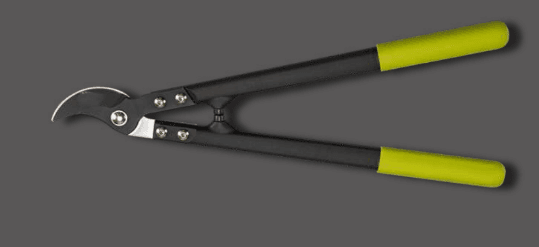 Screenshot 2024-12-16 160814