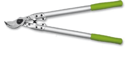 Screenshot 2024-12-16 162324