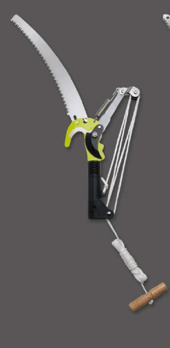 Screenshot 2024-12-16 173936