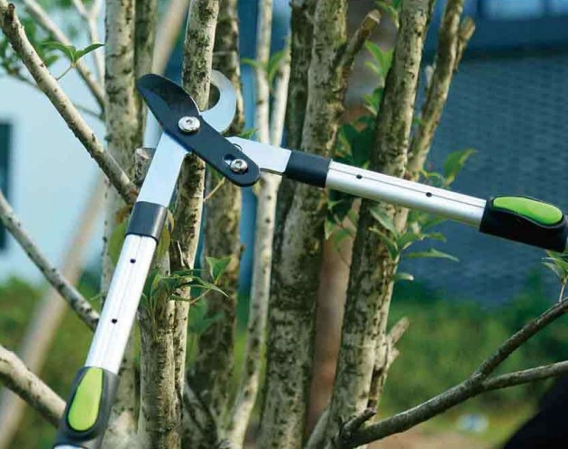 Screenshot 2026-05-01 012412