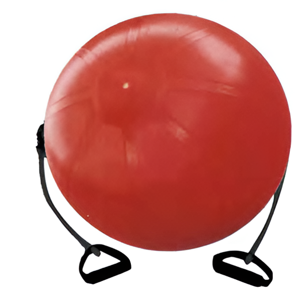 EZ-PB009 Pvc Toys