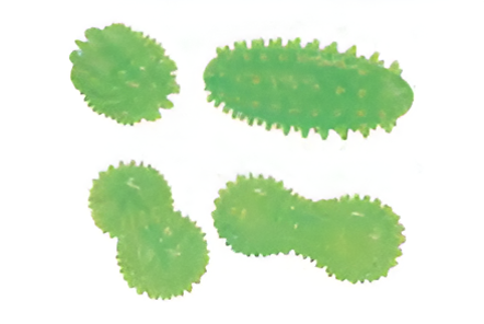 EZ-PB004 Pvc Toys