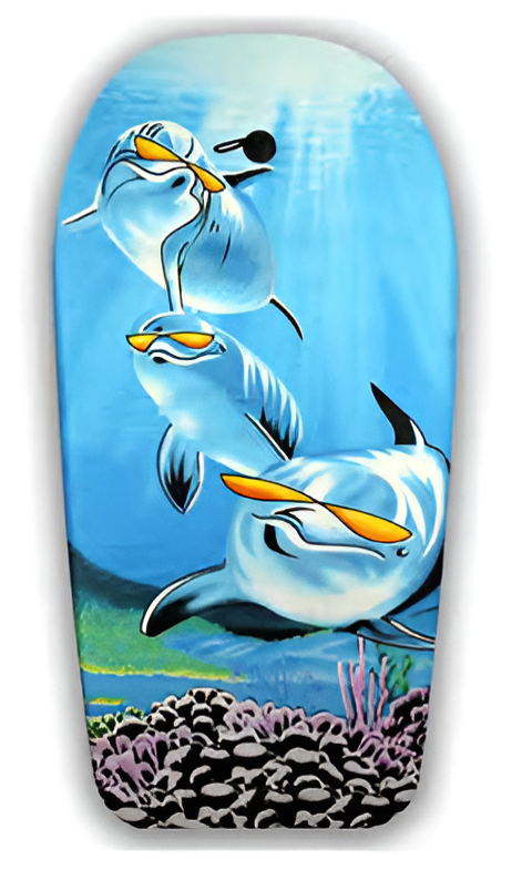 EZ-SB304 Snow Sled