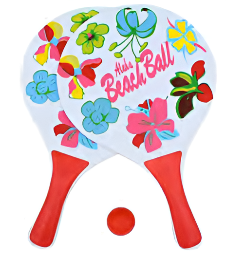 EZ-FC202 Beach Racket