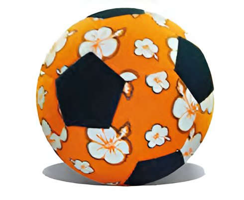 EZ-ZB551 – Soccer Ball