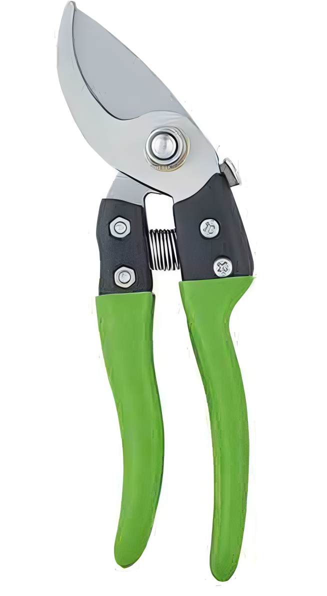 Pruning Shears