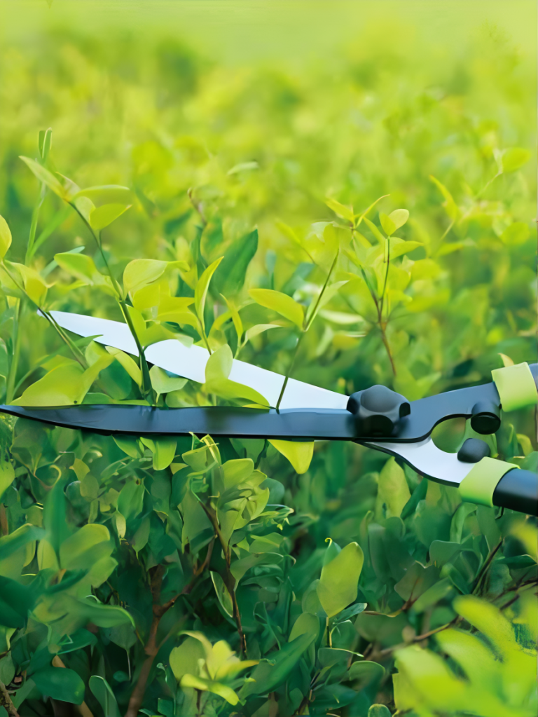 Hedge Shears