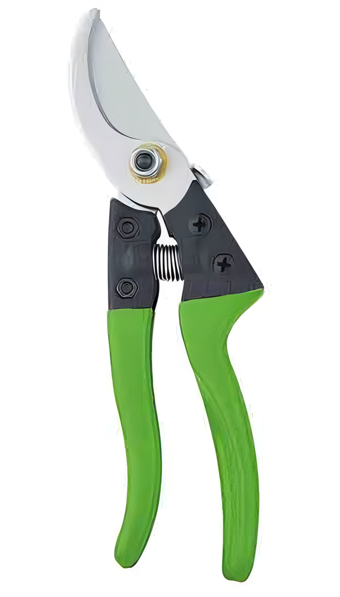 Pruning Shears