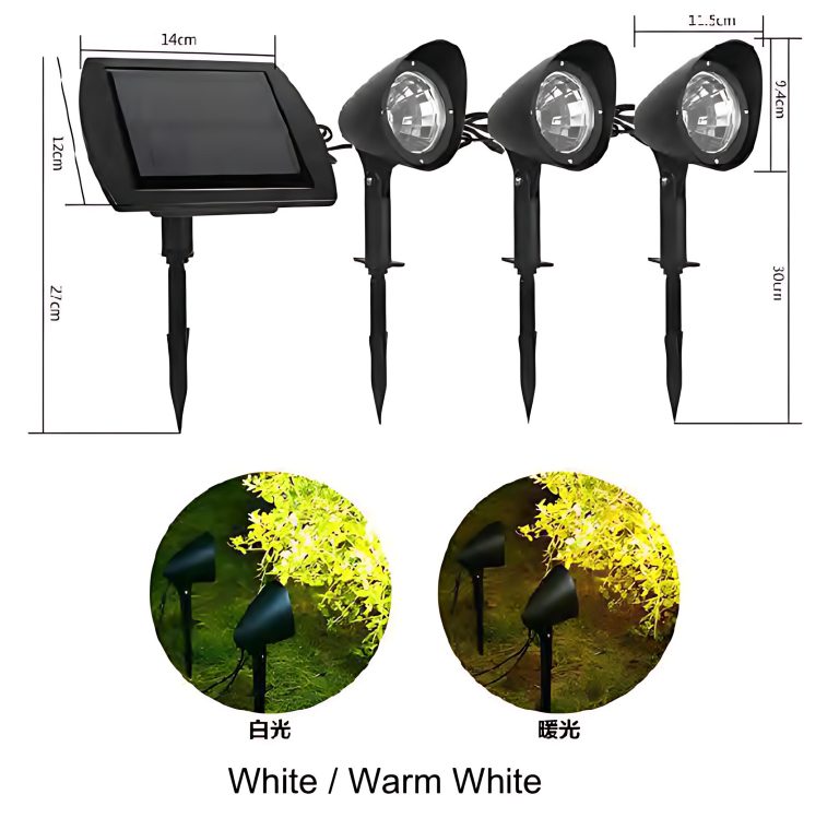 Solar Lights