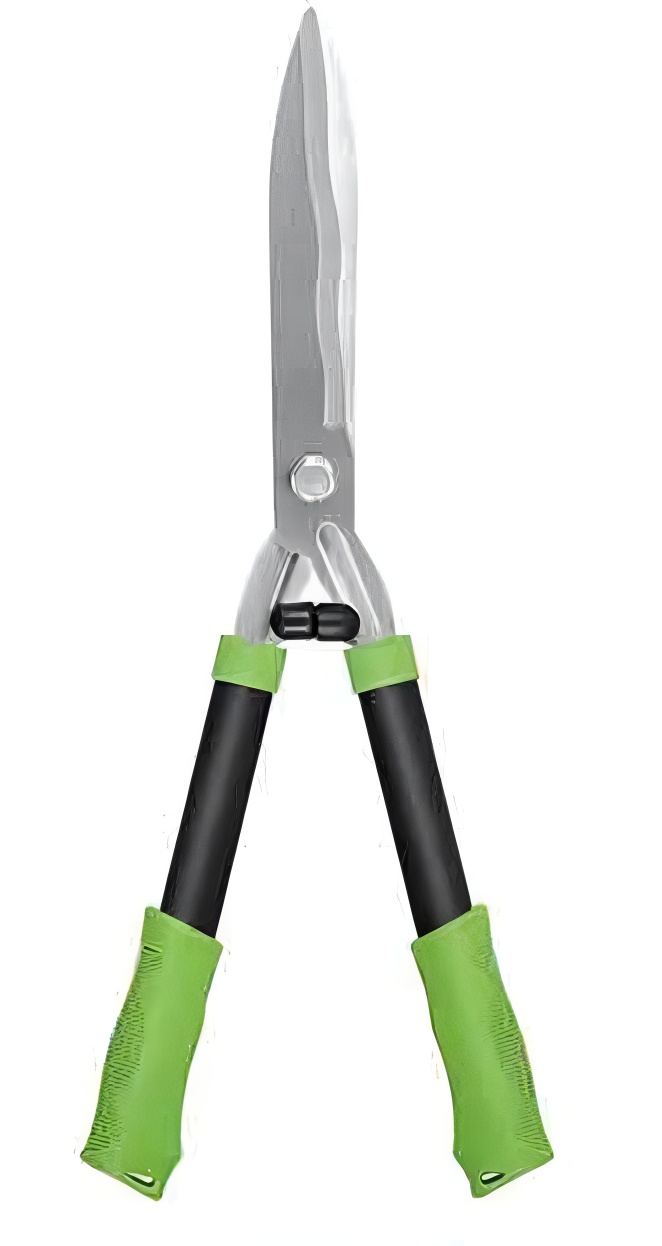 Hedge Shears