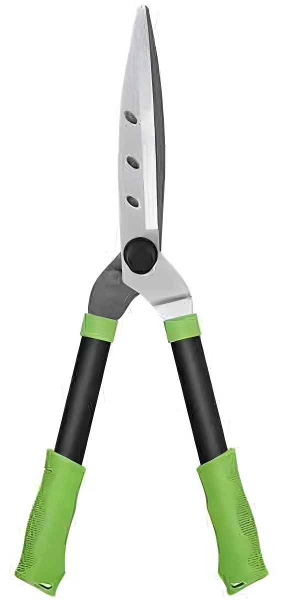 Hedge Shears