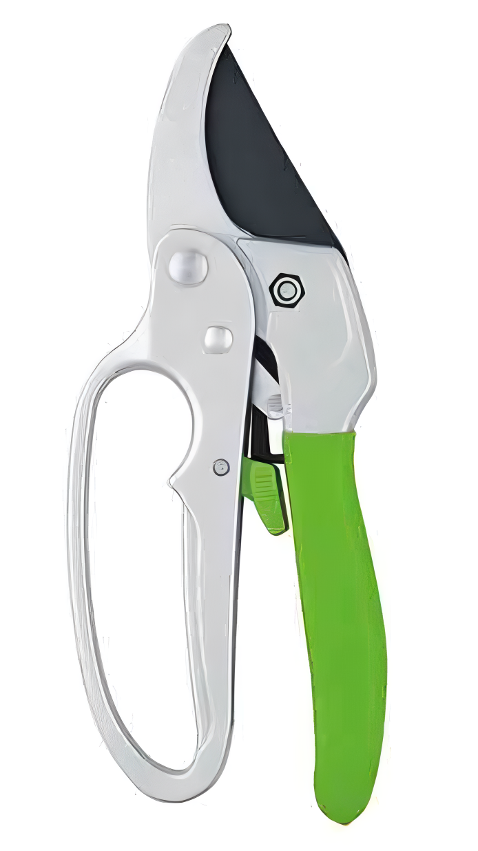 16-Picsart-AiImageEnhancer (2)