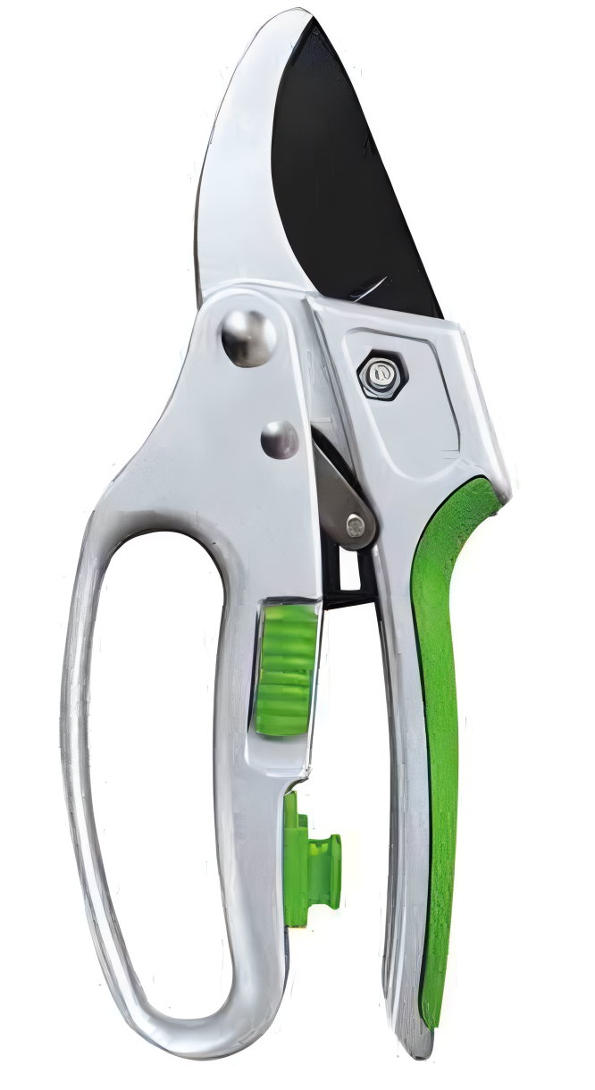Pruning Shears