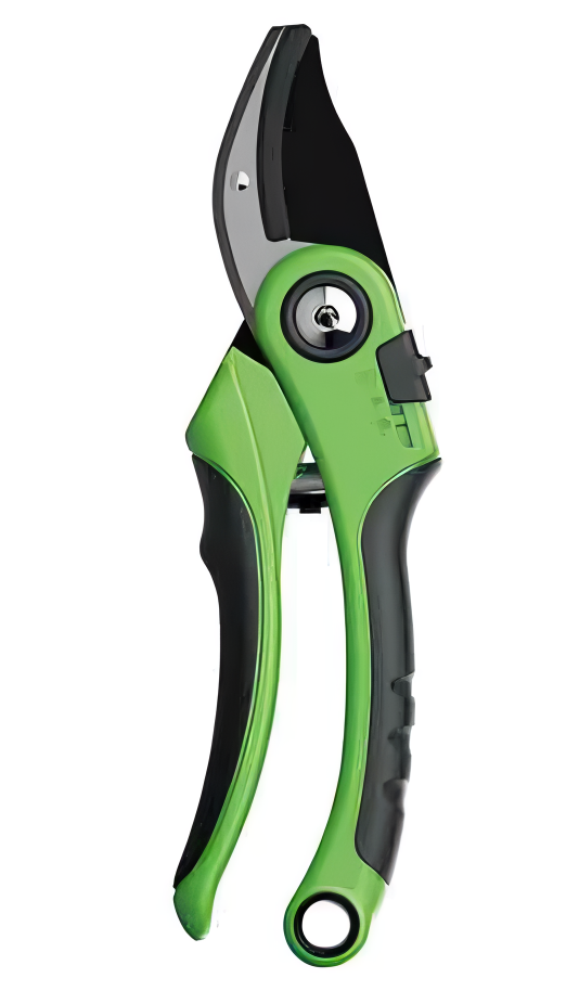 Pruning Shears