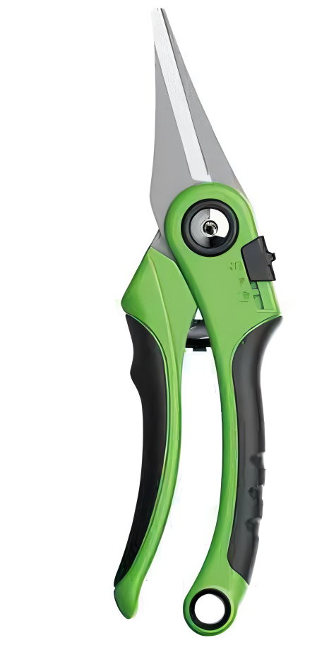 Pruning Shears
