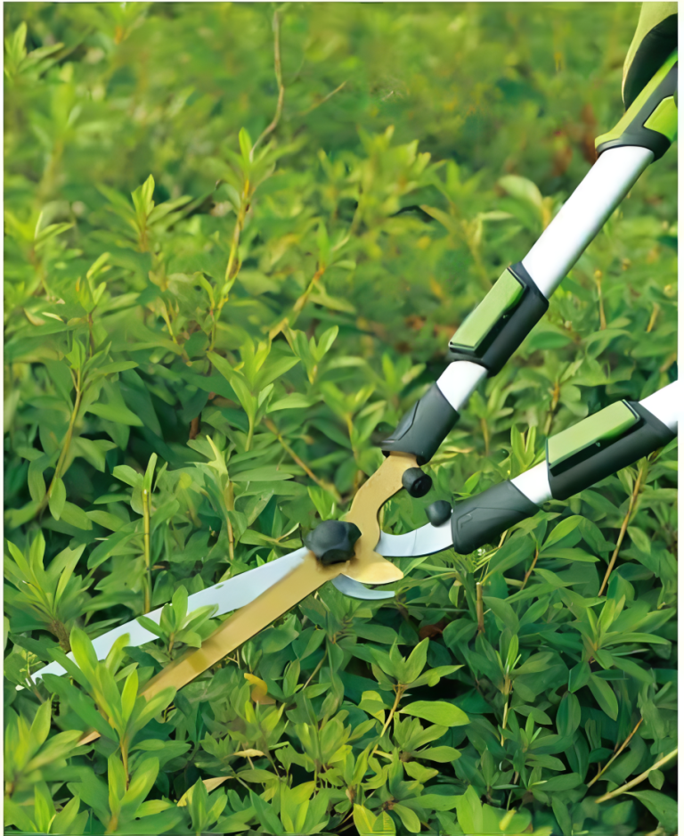 Hedge Shears