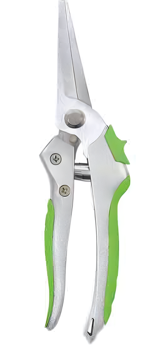 Pruning Shears