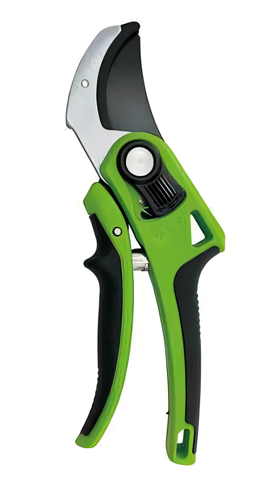 Pruning Shears