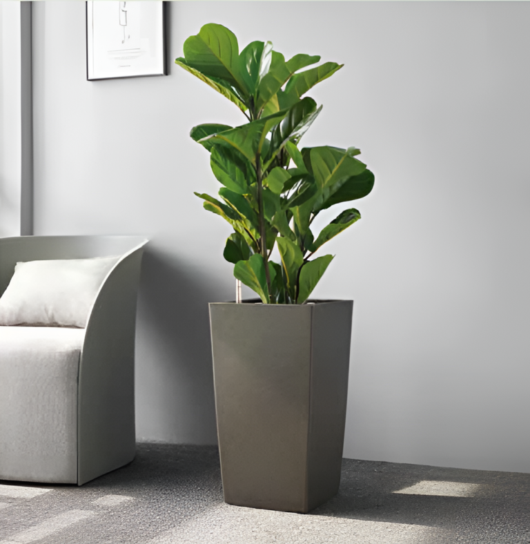 Self Watering Pots Planting