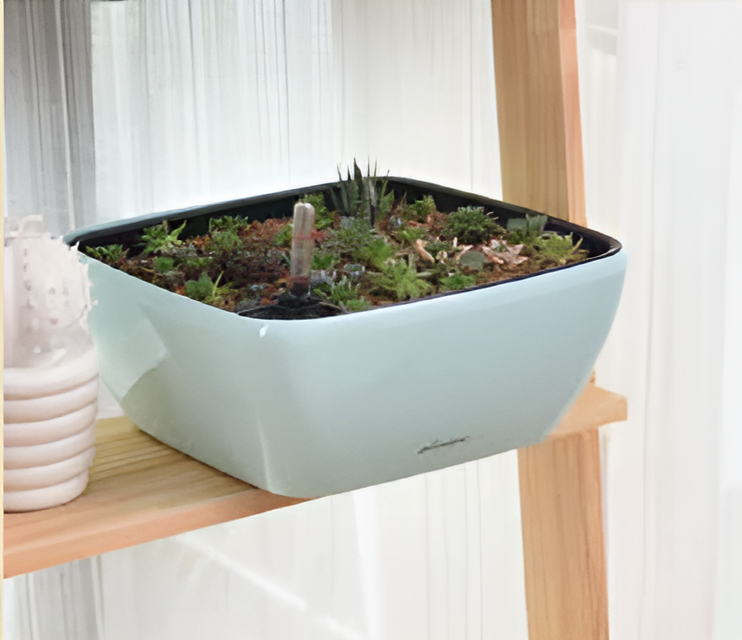 Self Watering Pots Planting