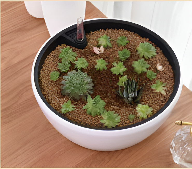 Self Watering Pots Planting